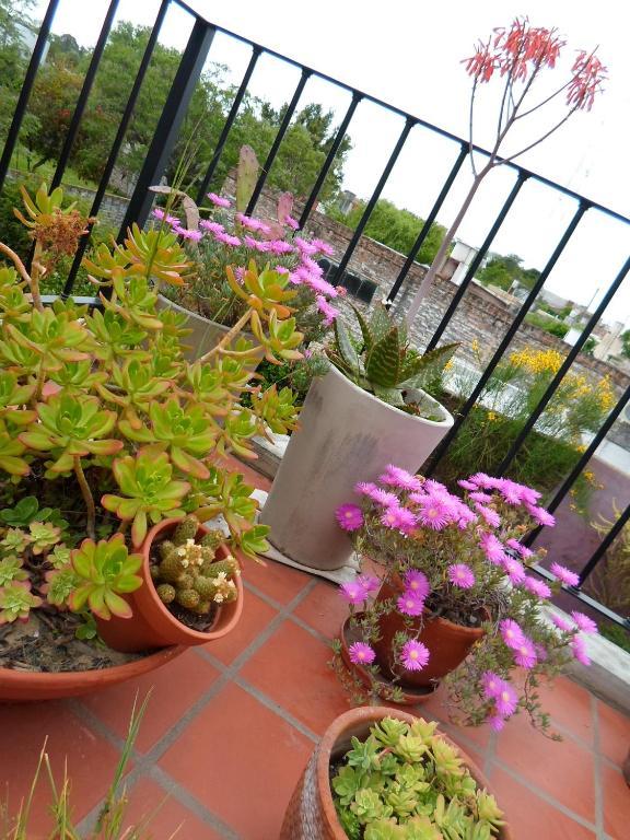 Bed and Breakfast La Demorada Сан-Антонио-де-Ареко Экстерьер фото